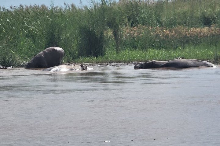 3 Day Burundi Nile Source Gitega Rusizi Park