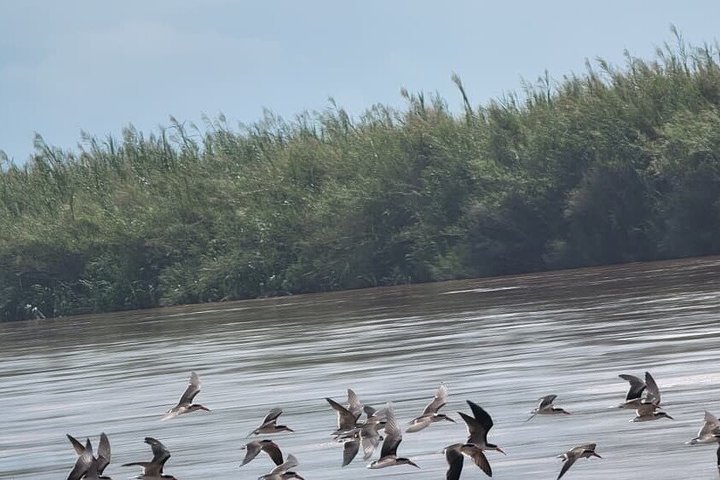 3 Day Burundi Nile Source Gitega Rusizi Park