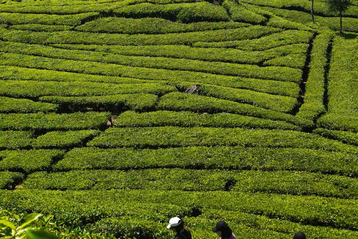 Private Guide Bandung Tour Car Charter