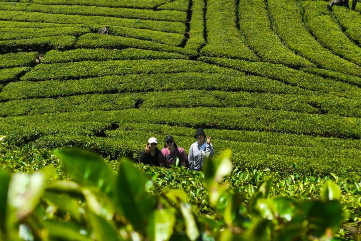 Private Guide Bandung Tour Car Charter