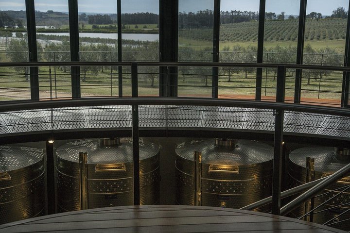 Wine Experience Bodega Oceánica Visit and Lunch at Bodega Garzón
