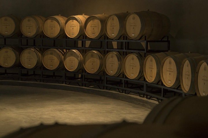 Wine Experience Bodega Oceánica Visit and Lunch at Bodega Garzón