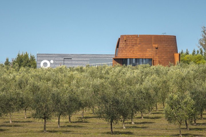 Wine Experience Bodega Oceánica Visit and Lunch at Bodega Garzón