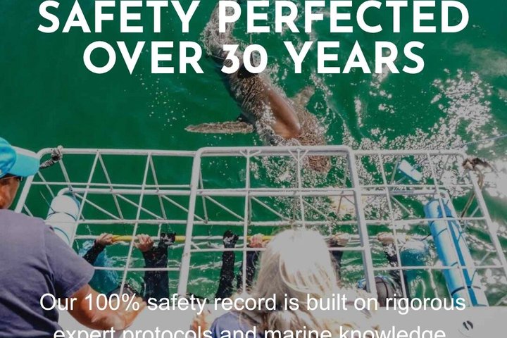 Shark Cage Diving with complimentary air in cage from Gansbaai