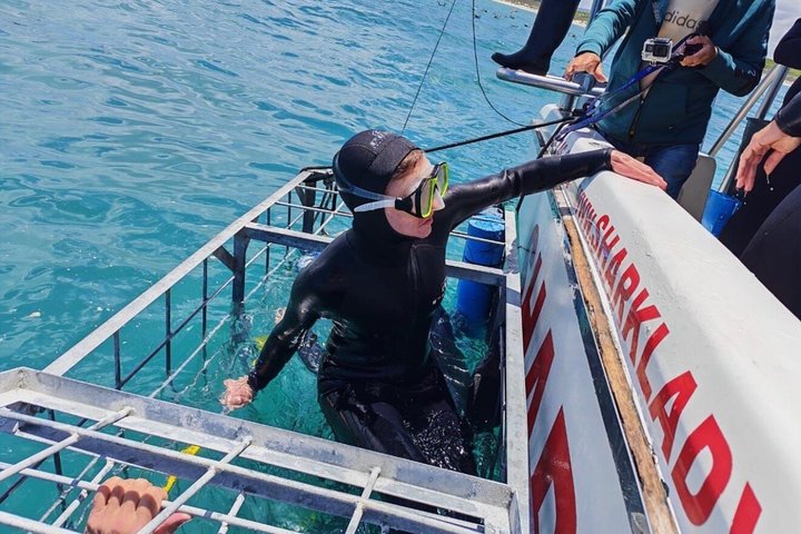 Shark Cage Diving with complimentary air in cage from Gansbaai