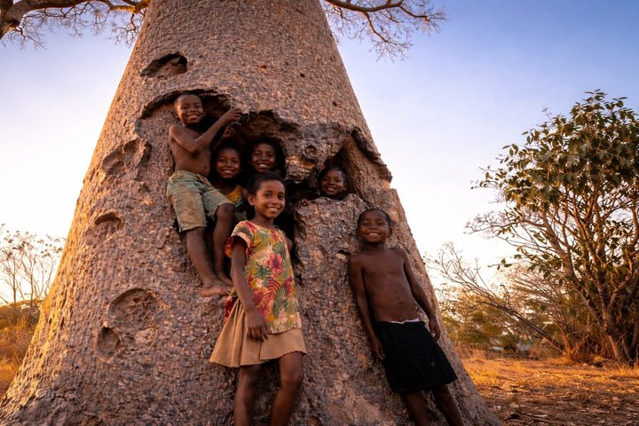 Morondava, Tsingy and Baobabs Tour - 4 days