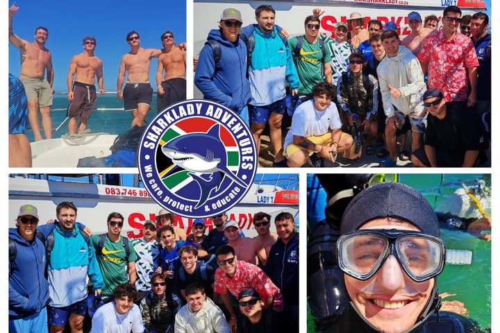 Shark Cage Diving with complimentary air in cage from Gansbaai