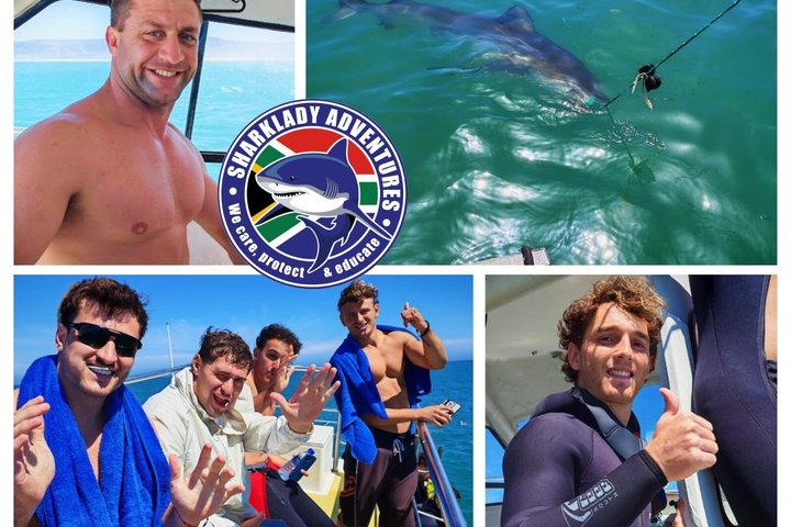 Shark Cage Diving with complimentary air in cage from Gansbaai