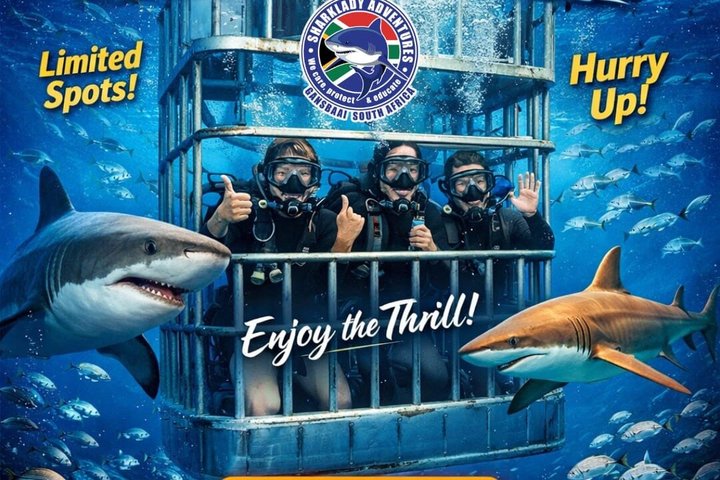 Shark Cage Diving with complimentary air in cage from Gansbaai