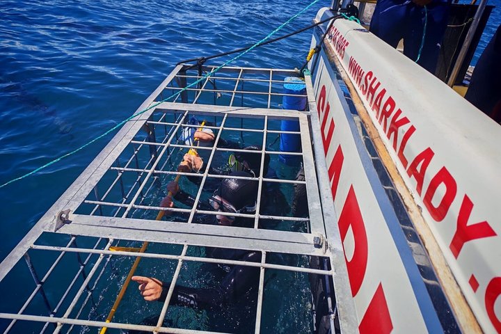 Shark Cage Diving with complimentary air in cage from Gansbaai