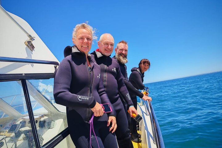 Shark Cage Diving with complimentary air in cage from Gansbaai