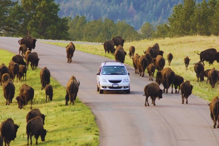 Self-Guided Audio Tour Bundle: US Rockies & Plains
