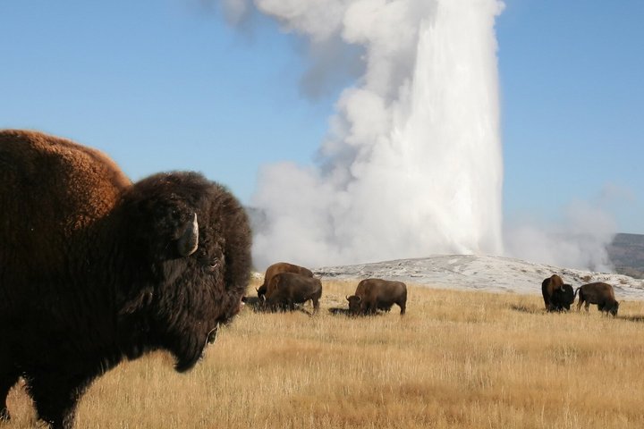 Self-Guided Audio Tour Bundle: US Rockies & Plains