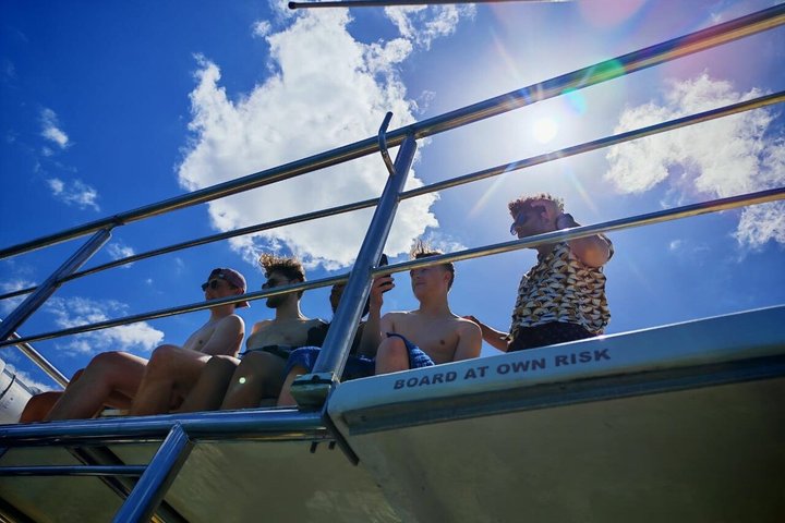 Shark Cage Diving with complimentary air in cage from Gansbaai
