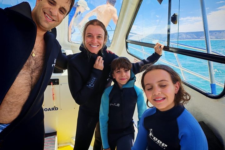 Shark Cage Diving with complimentary air in cage from Gansbaai