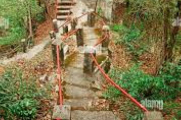 Cameron Highlands and Ipoh Day Private Tour