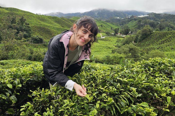 Cameron Highlands and Ipoh Day Private Tour