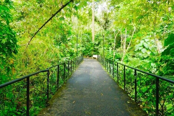 Pagsanjan Falls and Hidden Valley Day Tour with Lunch Included