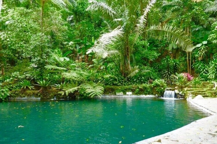 Pagsanjan Falls and Hidden Valley Day Tour with Lunch Included