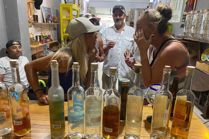 Mazatlán Shared City Tour by Red Truck History and Flavors