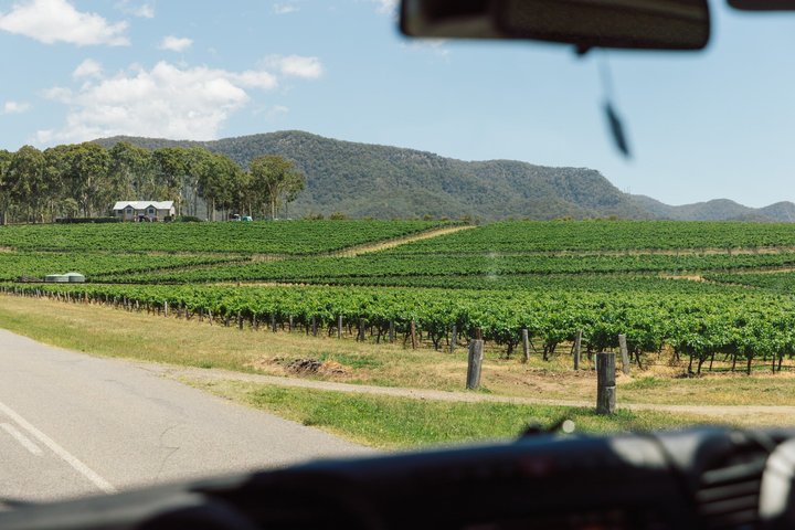 Premium Hunter Valley Wine Tour with Tastings & 2 Course Lunch