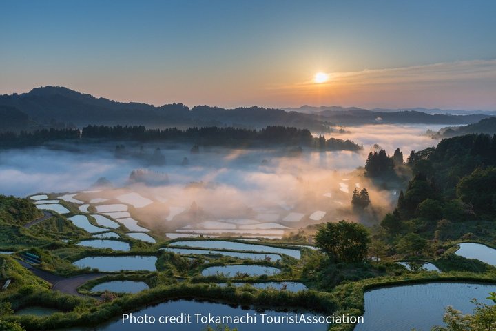 Kiyotsu Gorge and Beyond Scenic Rice Terraces and Beech Forests