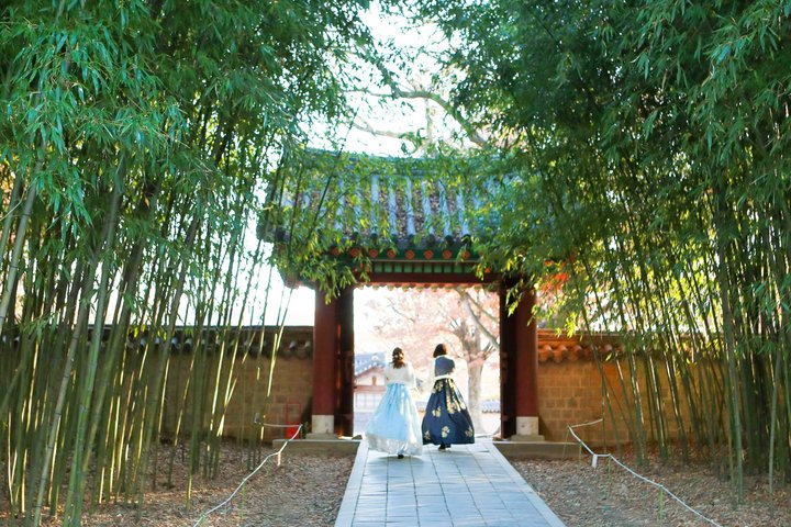Jeonju Hanok Village Full-Day Tour: Jangtaesan Green Forest