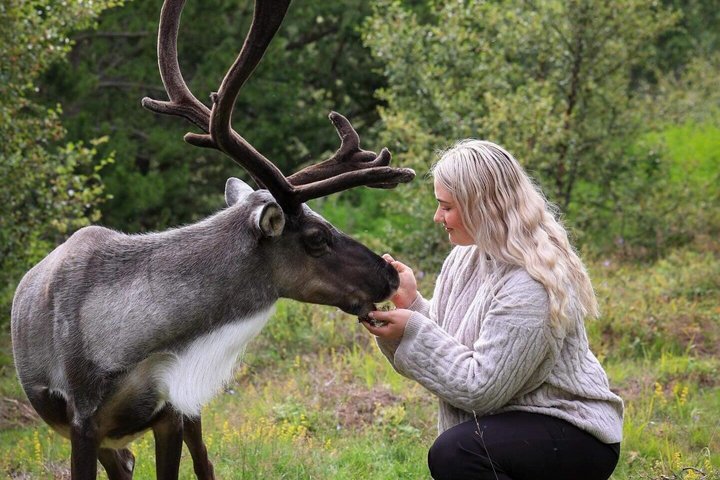 Seyðisfjörður: Hidden Stuðlagil Canyon & Reindeer Tour