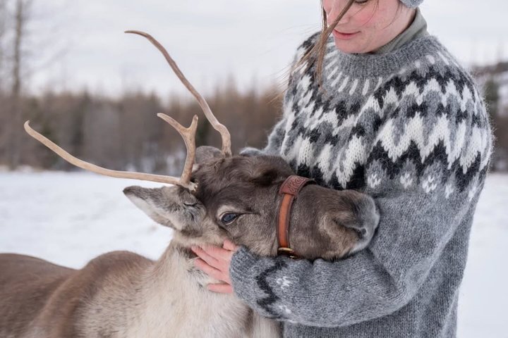 Seyðisfjörður: Hidden Stuðlagil Canyon & Reindeer Tour