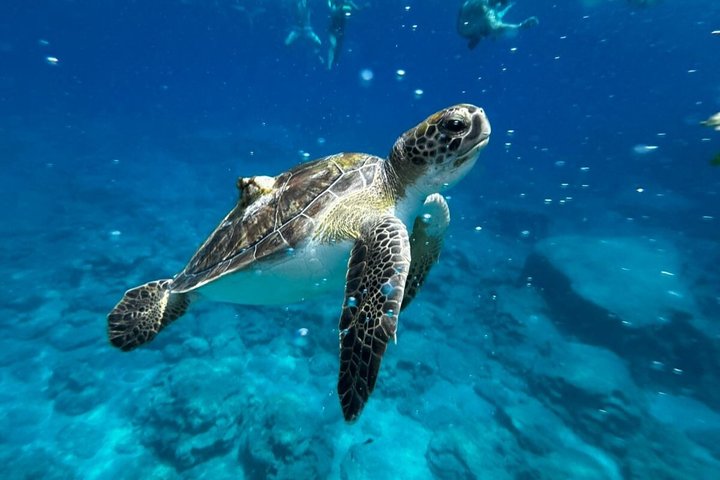 APHRODITE II -LAZY DAY CRUISE-BLUE LAGOON,TURTLE COVE, with LUNCH