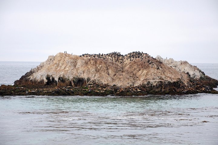 Self Guided Audio Tour Bundle US Pacific Coastline