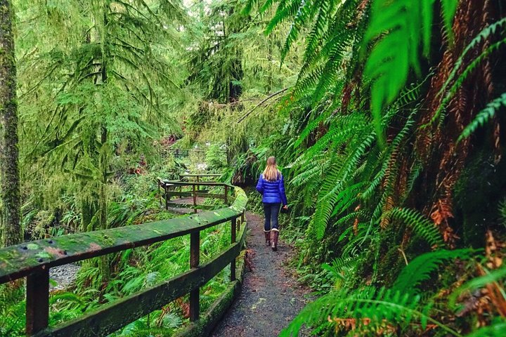Self Guided Audio Tour Bundle US Pacific Coastline