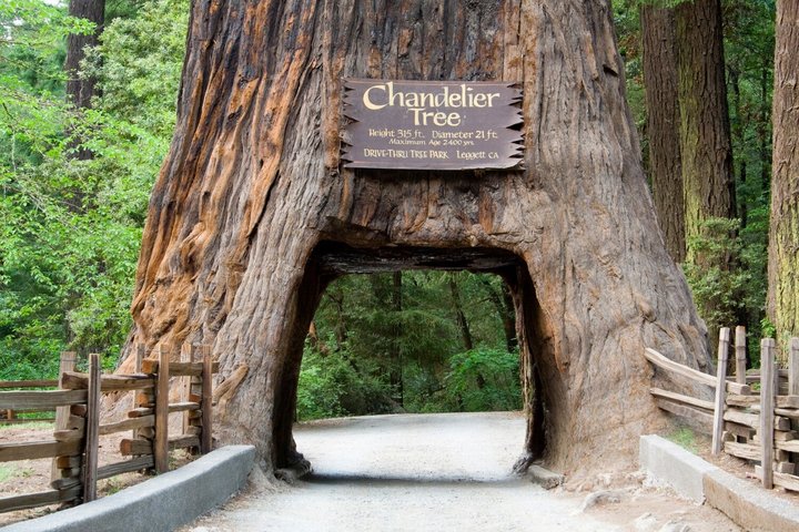 Self Guided Audio Tour Bundle US Pacific Coastline
