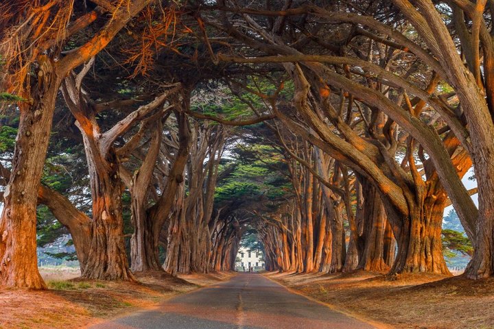 Self Guided Audio Tour Bundle US Pacific Coastline