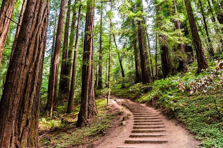 Self Guided Audio Tour Bundle US Pacific Coastline