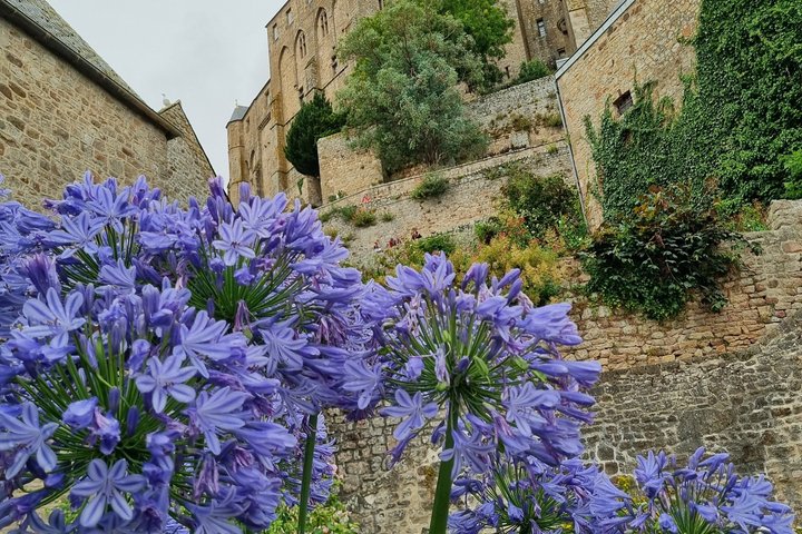 2 hour guided tour of Mont Saint Michel, abbey ticket included