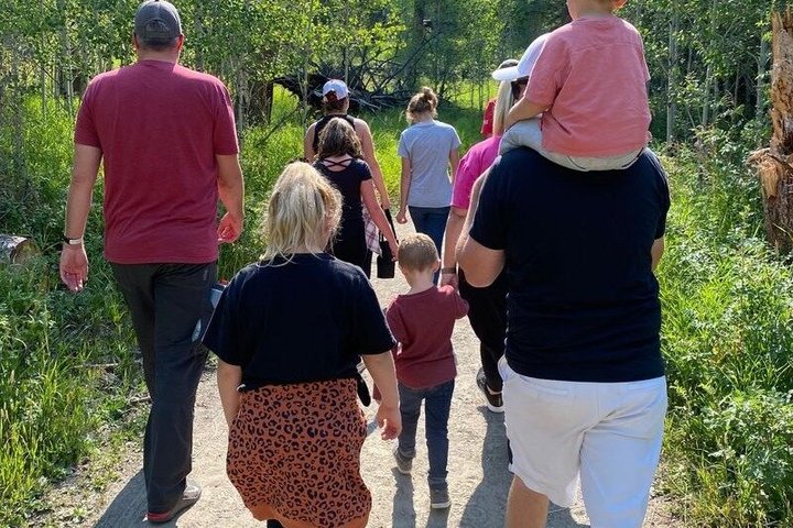 Private Yellowstone Lower Loop Sites & Wildlife Tour from Bozeman