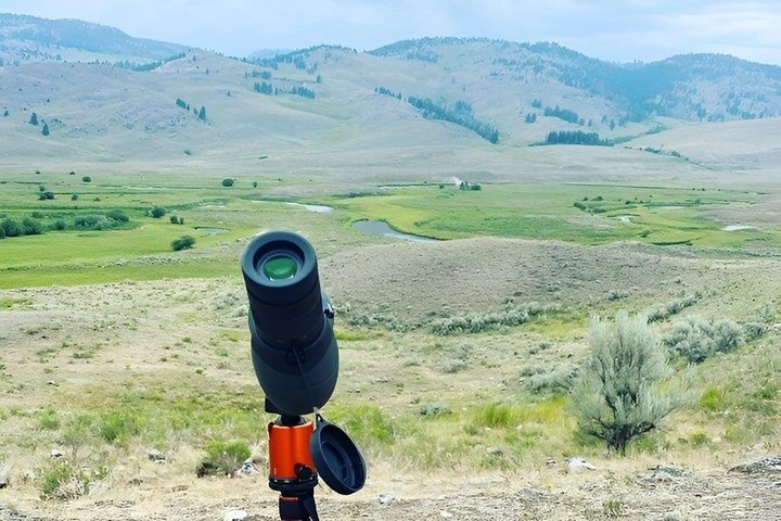 Private Yellowstone Lower Loop Sites & Wildlife Tour from Bozeman