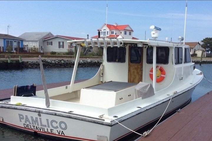 Seaside Cruising Dolphin Watching and Sunset Cruises