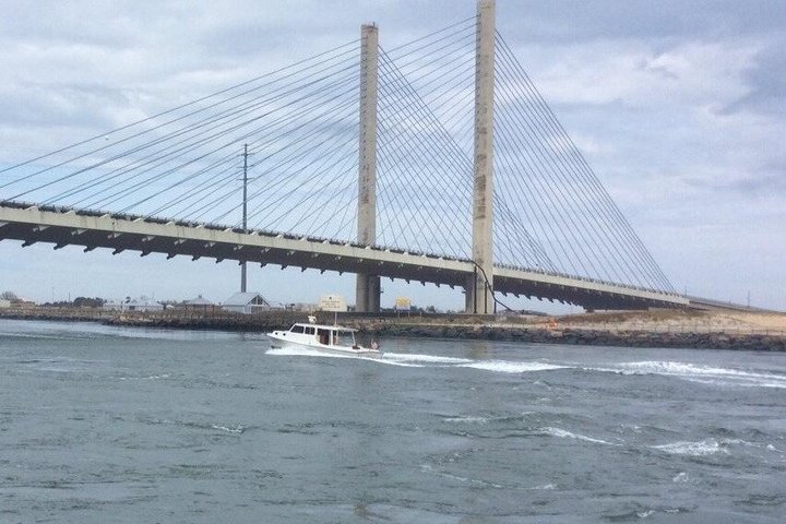 Seaside Cruising Dolphin Watching and Sunset Cruises