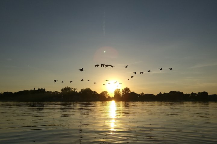 Potsdam Wannsee explore boat 1 to 8 persons License free