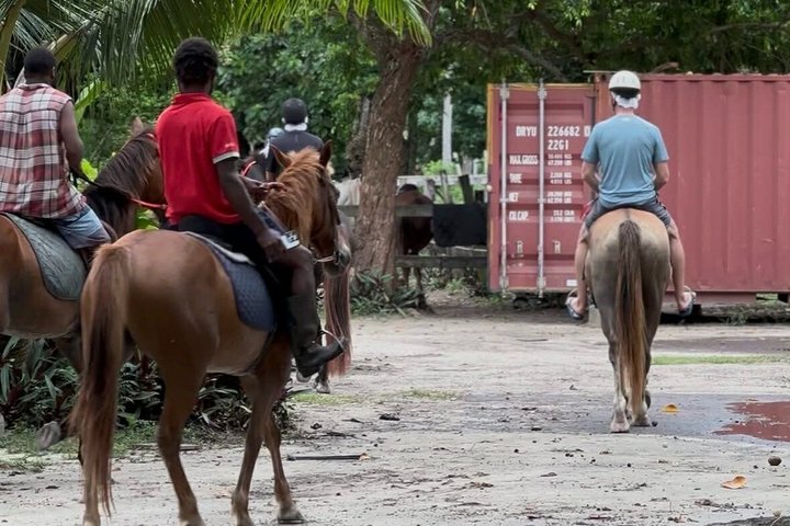 Horse Riding, Buggy Blast and Blue Lagoon Adventure