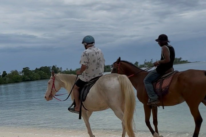 Horse Riding, Buggy Blast and Blue Lagoon Adventure