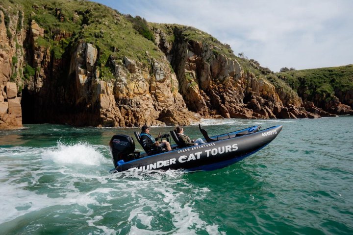 Phillip Island High Speed Sea Caves Boat Tour with Seal Sighting