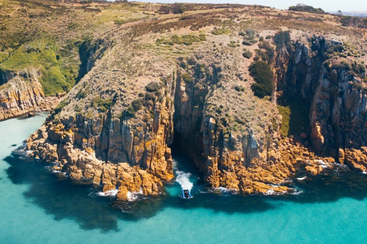 Phillip Island High Speed Sea Caves Boat Tour with Seal Sighting