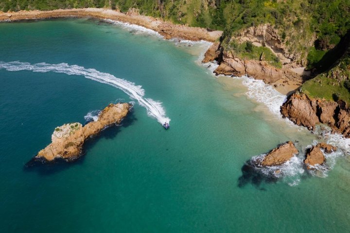 Phillip Island High Speed Sea Caves Boat Tour with Seal Sighting