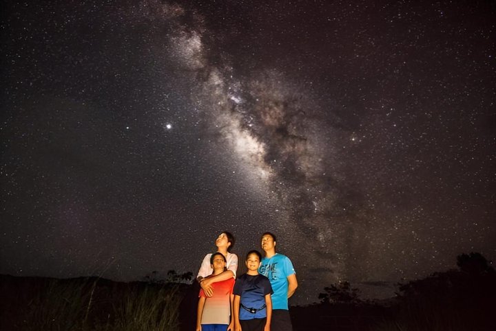 Okinawa Miyako Starry Night Jungle and Wildlife Tour with Pick Up