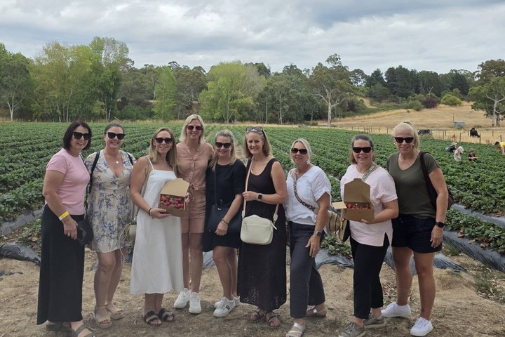Adelaide Gems in a Day: Hahndorf, Glenelg Beach, City Tour 6.5hrs