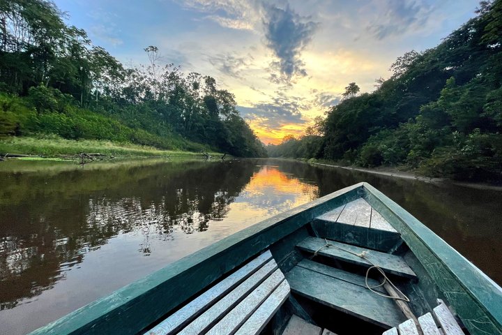 Full-Day All-Inclusive Guided Jungle Tour from Iquitos