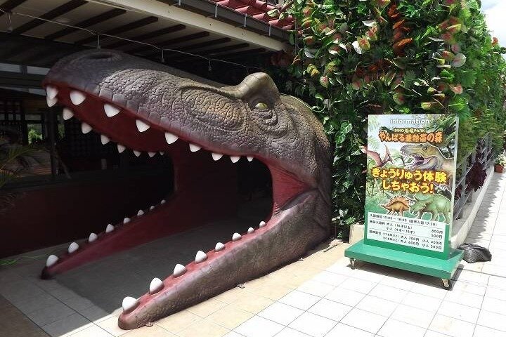 Have Fun in Okinawa 1 Week Free Pass